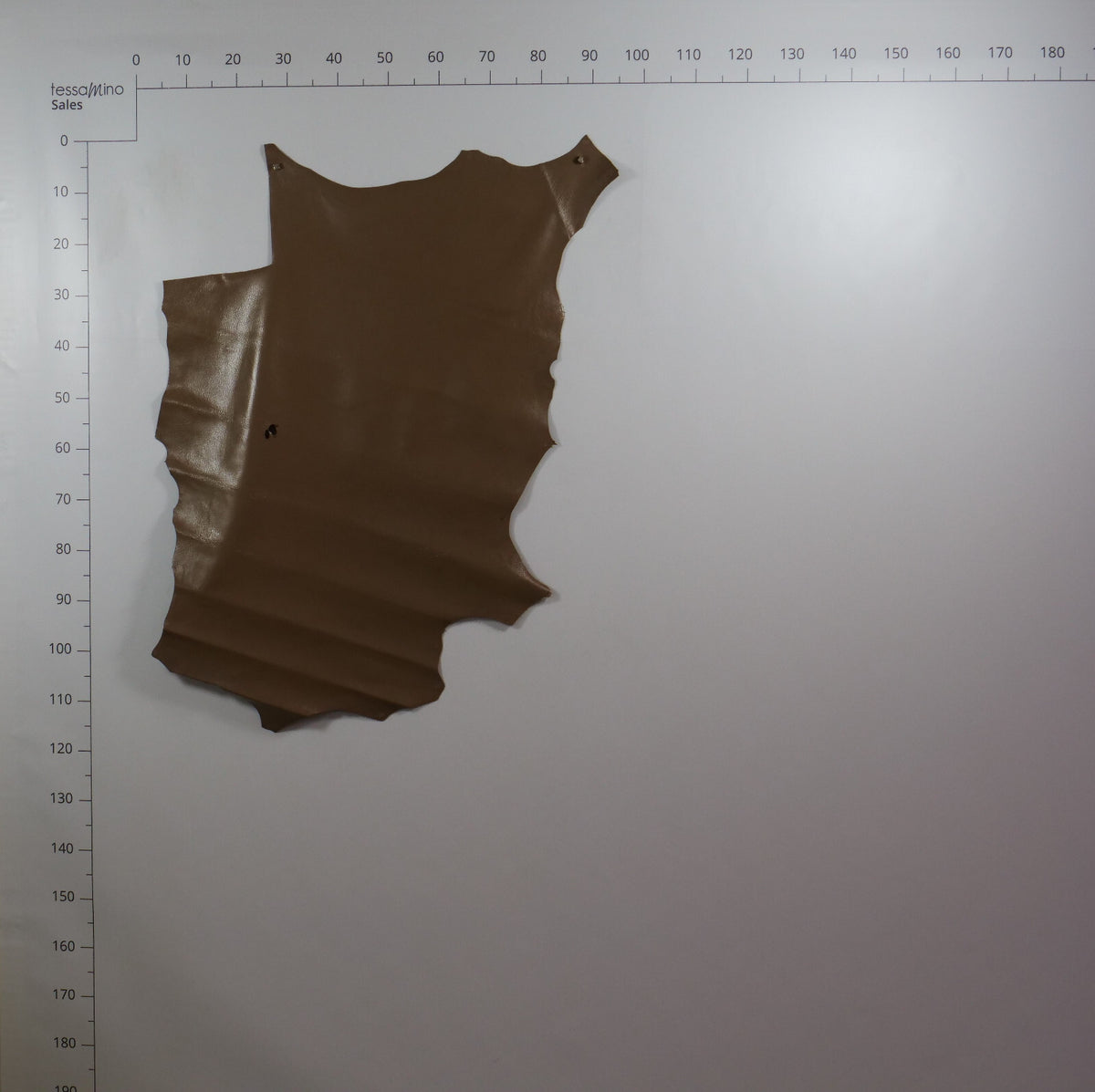 Hirschleder hellbraun Lederhaut Bastelleder Basteln DIY – Bild 5