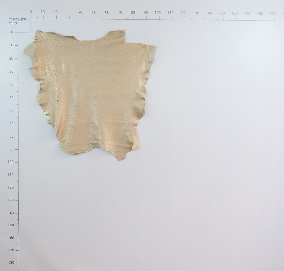 Hirschleder metall rosa beige ganze Lederhaut Echtleder Bastelleder – Bild 7
