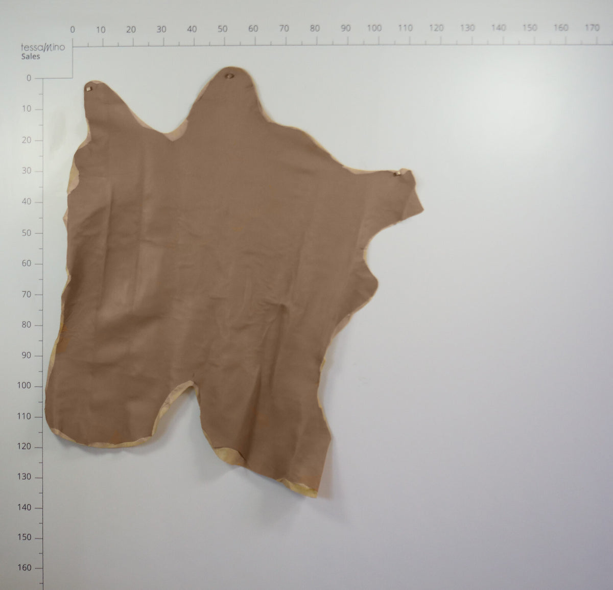 Hirschleder beige Echtleder Lederhaut Bastelleder Basteln – Bild 4