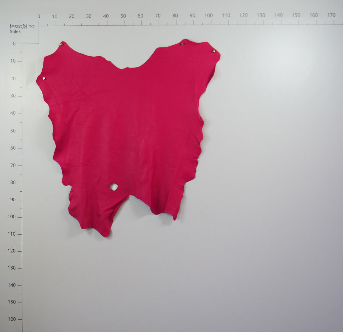 Hirschleder rosa pink Echtleder ganze Lederhaut Lederreste Bastelleder Basteln – Bild 5