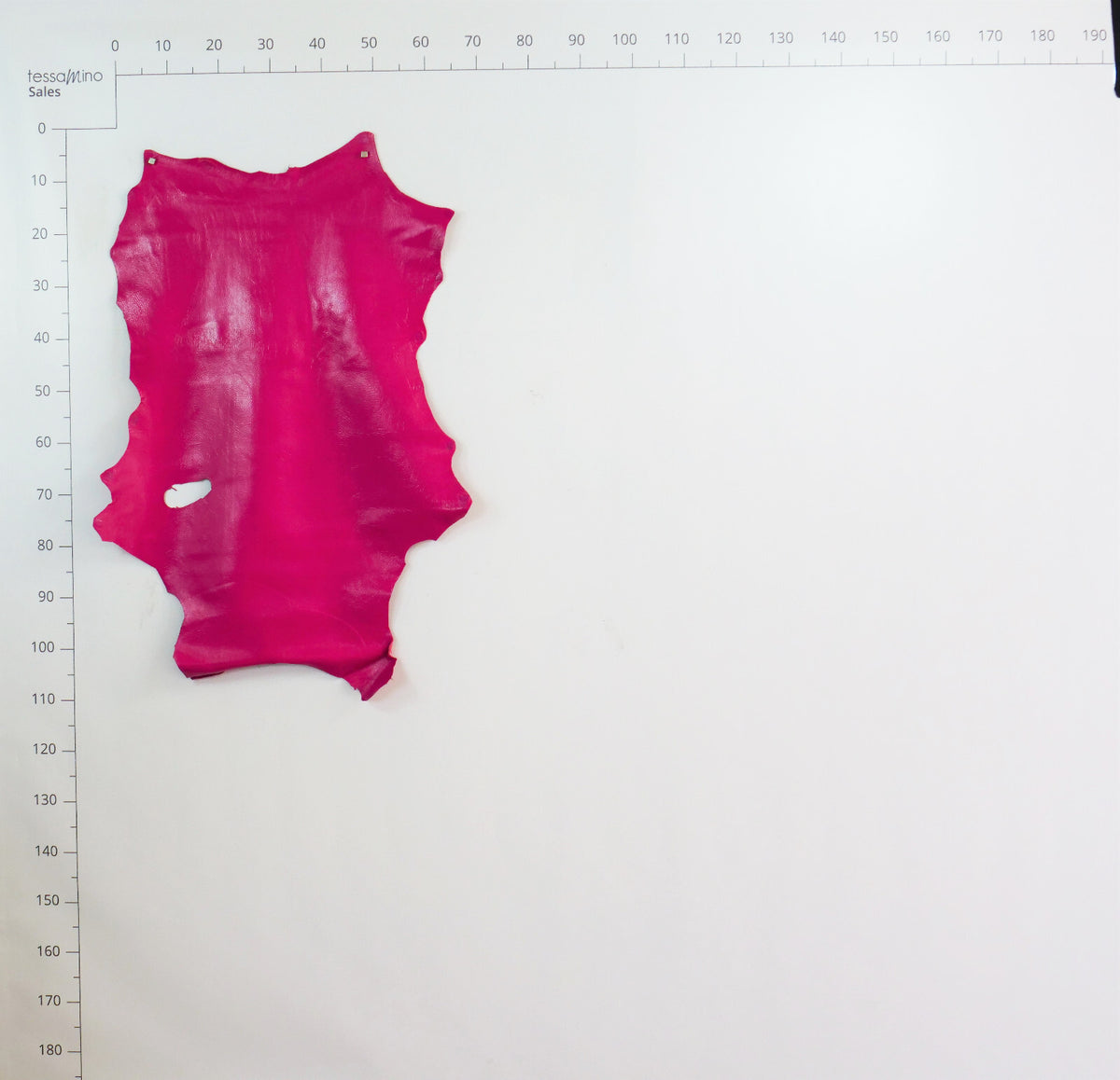 Hirschleder Pink 1,3 mm ganze Lederhaut Echtleder Bastelleder – Bild 15
