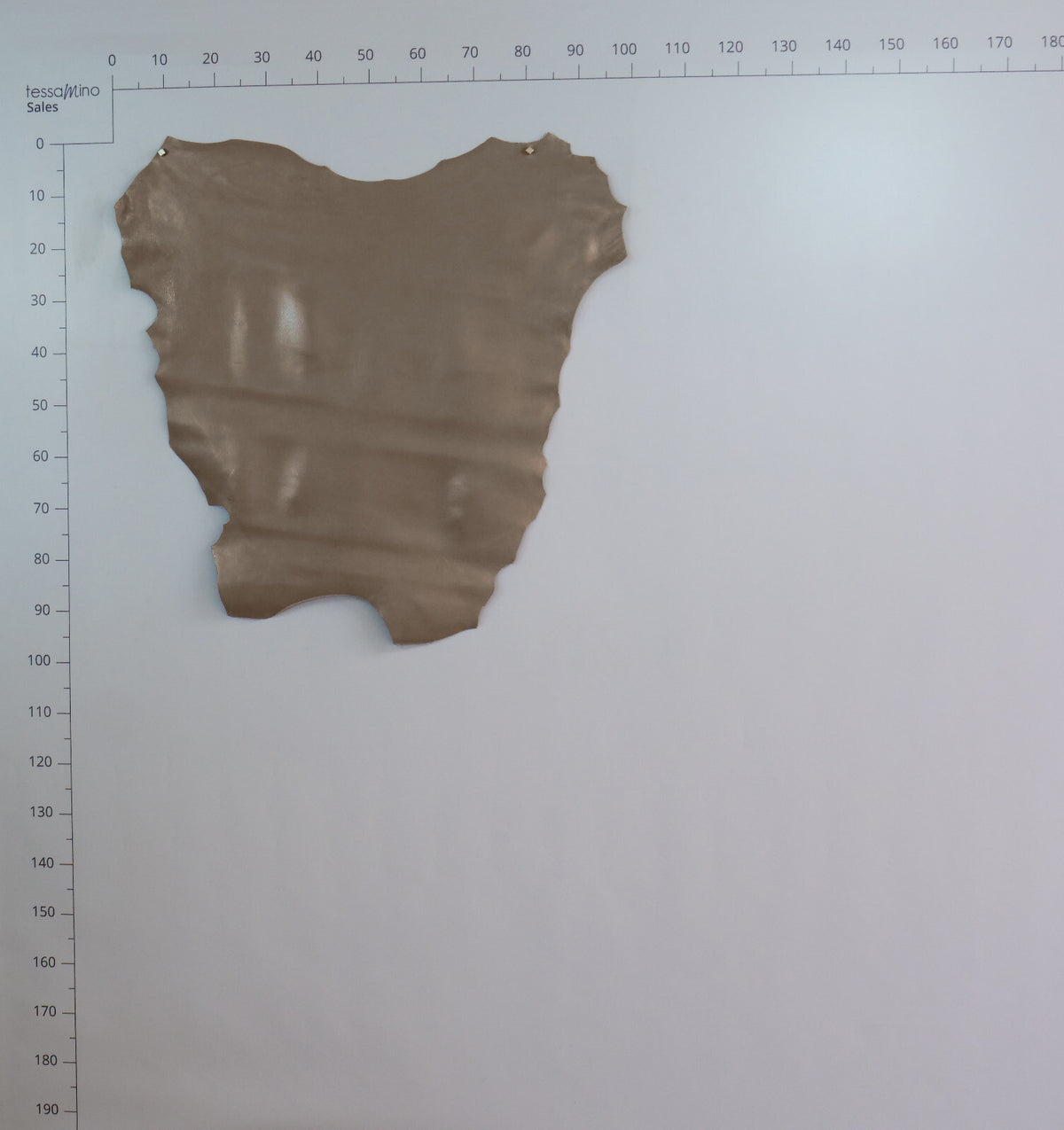 Hirschleder Hellbraun 1,3 mm ganze Lederhaut Echtleder Bastelleder – Bild 10