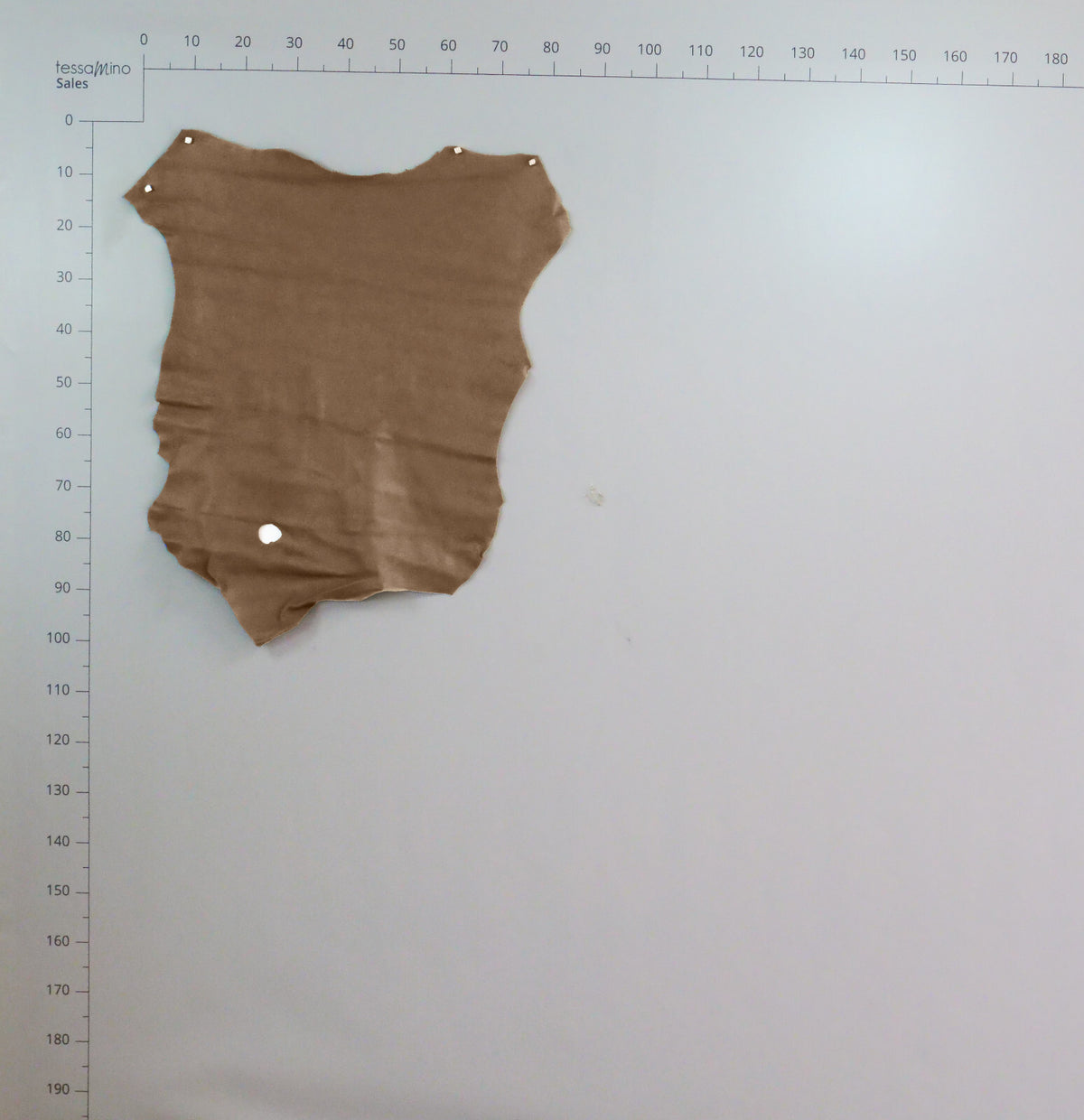 Hirschleder beige Echtleder Lederhaut Bastelleder Basteln – Bild 5