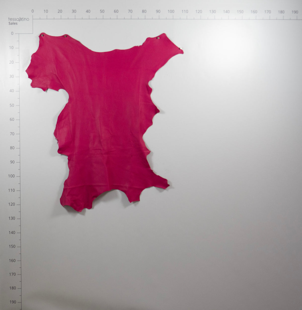 Hirschleder Lila pink 1,3 mm Lederhaut Echtleder Bastelleder – Bild 4