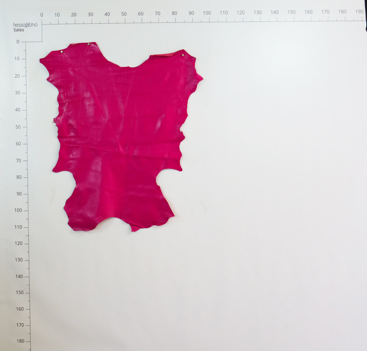 Hirschleder Pink 1,3 mm ganze Lederhaut Echtleder Bastelleder – Bild 13