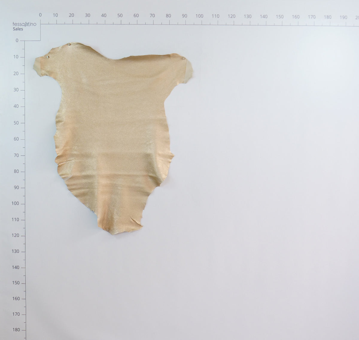 Hirschleder metall rosa beige ganze Lederhaut Echtleder Bastelleder – Bild 4