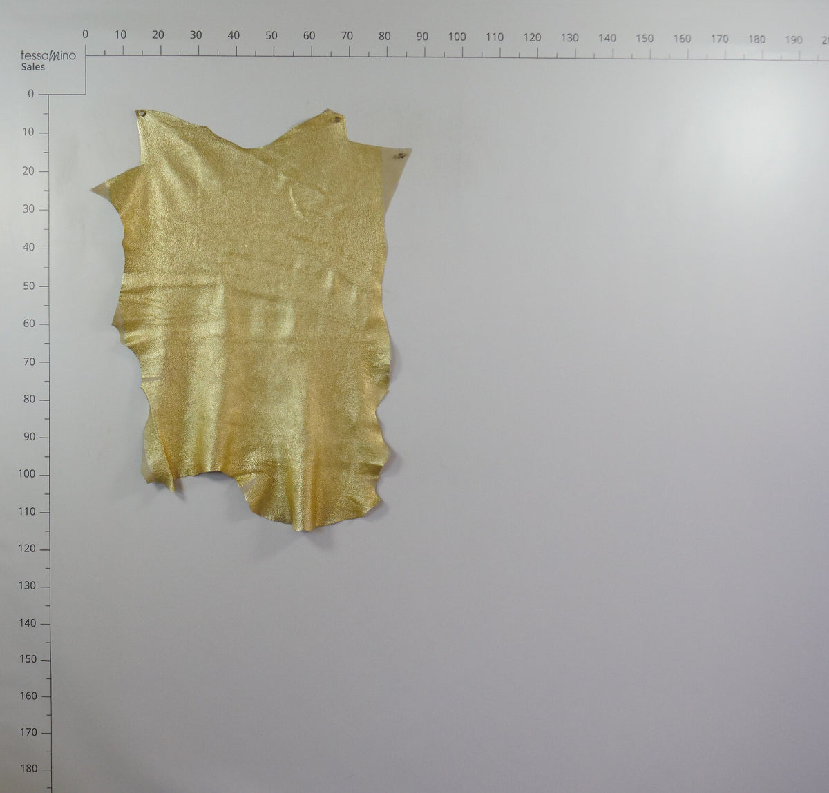 Hirschleder metall Gold 1,3 mm ganze Lederhaut Echtleder Bastelleder – Bild 4