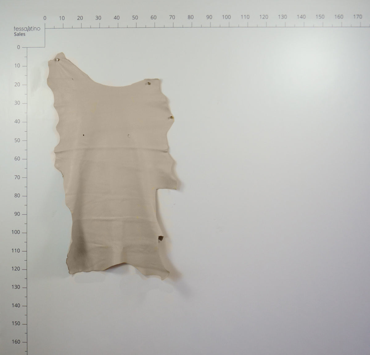 Hirschleder Beige 1,3 mm ganze Lederhaut Echtleder Bastelleder – Bild 4