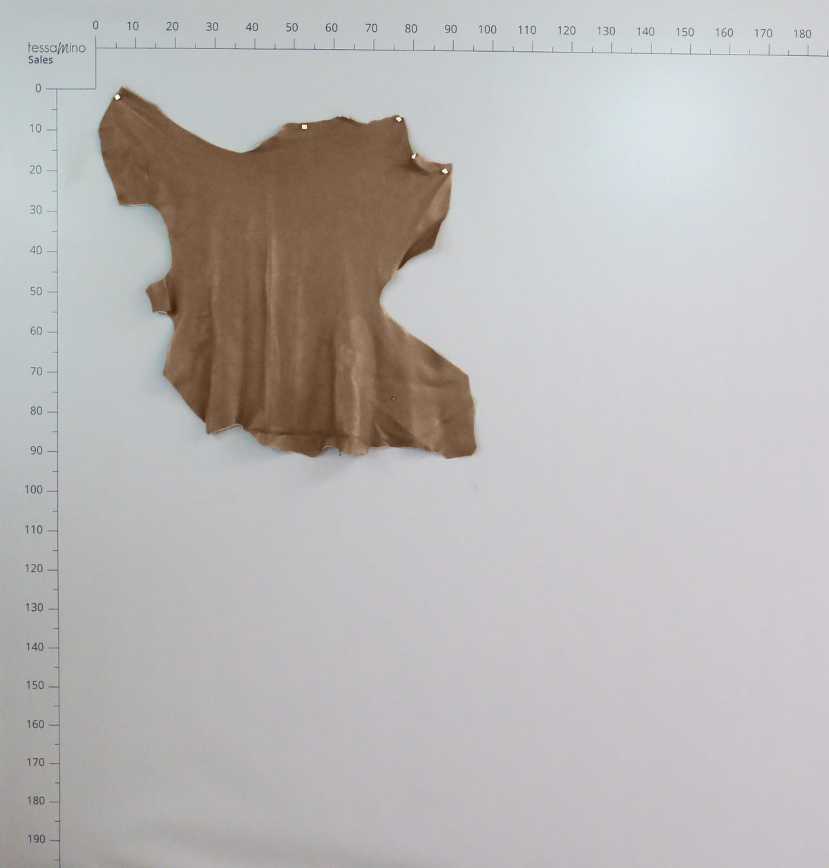 Hirschleder beige Echtleder Lederhaut Bastelleder Basteln – Bild 4