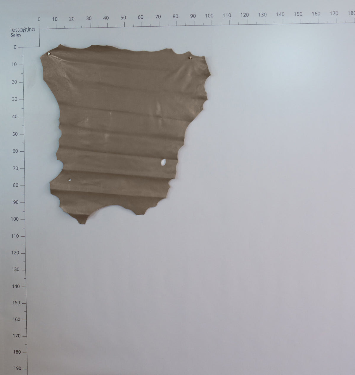 Hirschleder Hellbraun 1,3 mm ganze Lederhaut Echtleder Bastelleder – Bild 9